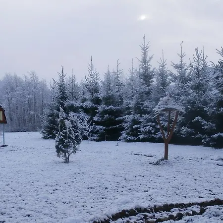 Starkis Tatil Evi Daugavpils
